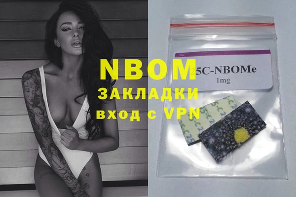 индика Арсеньев