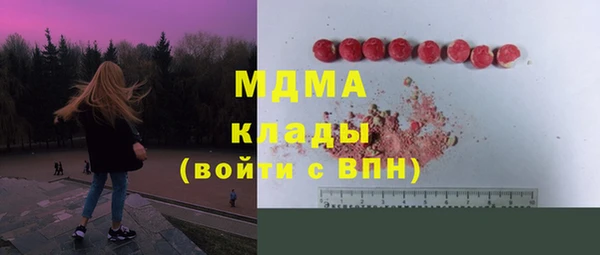 индика Арсеньев