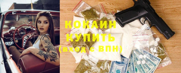 индика Арсеньев
