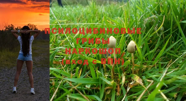 СК Аркадак